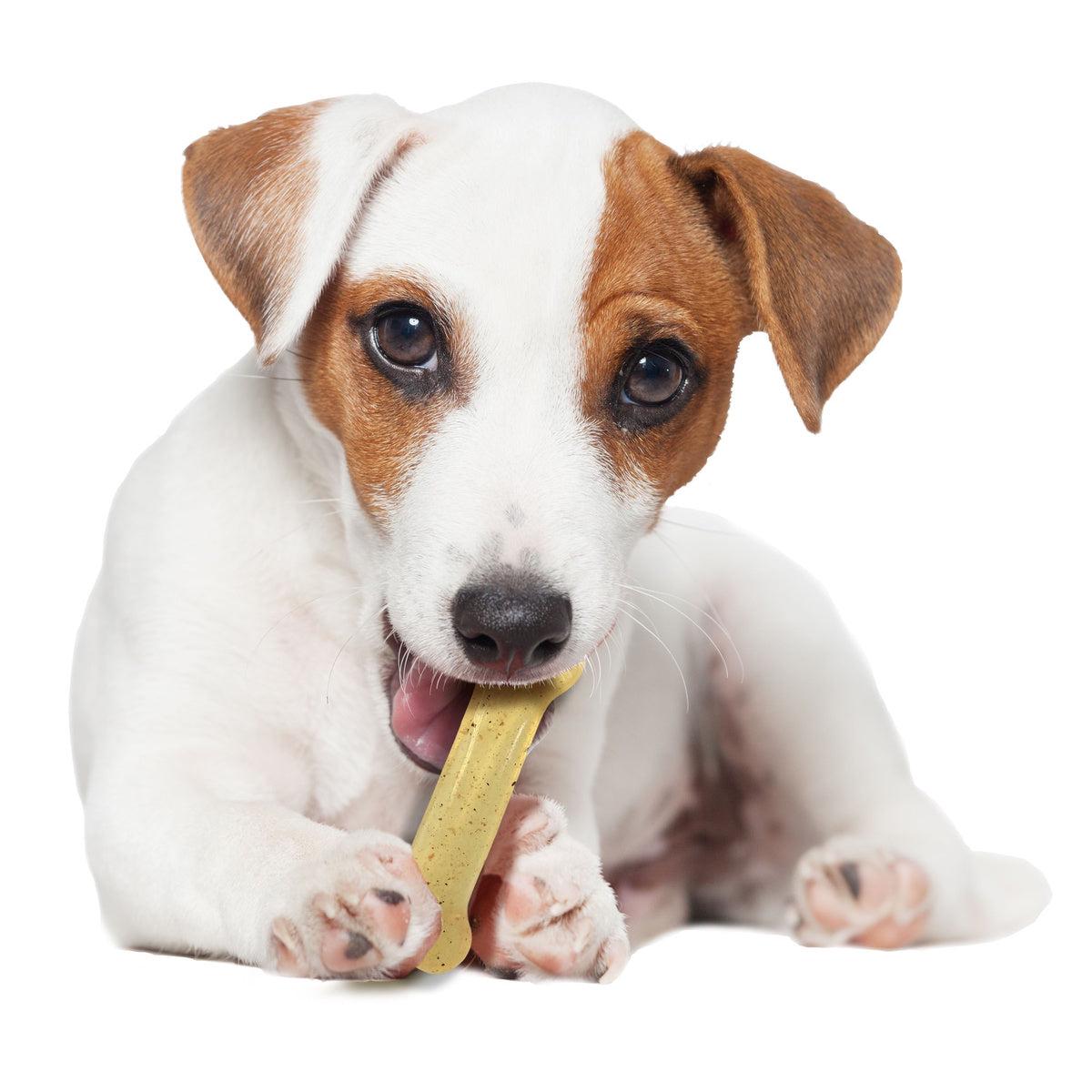 Moderate FlexiChew Chicken Flavored Dry Bone Dog Chew Toy Regular