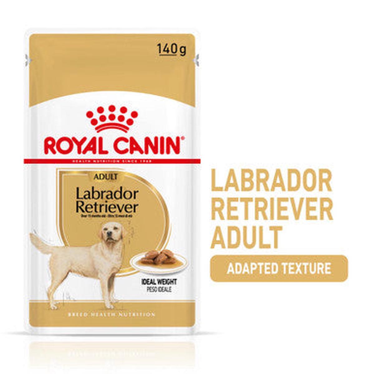 Royal Canin Labrador Retriever – 10x140g