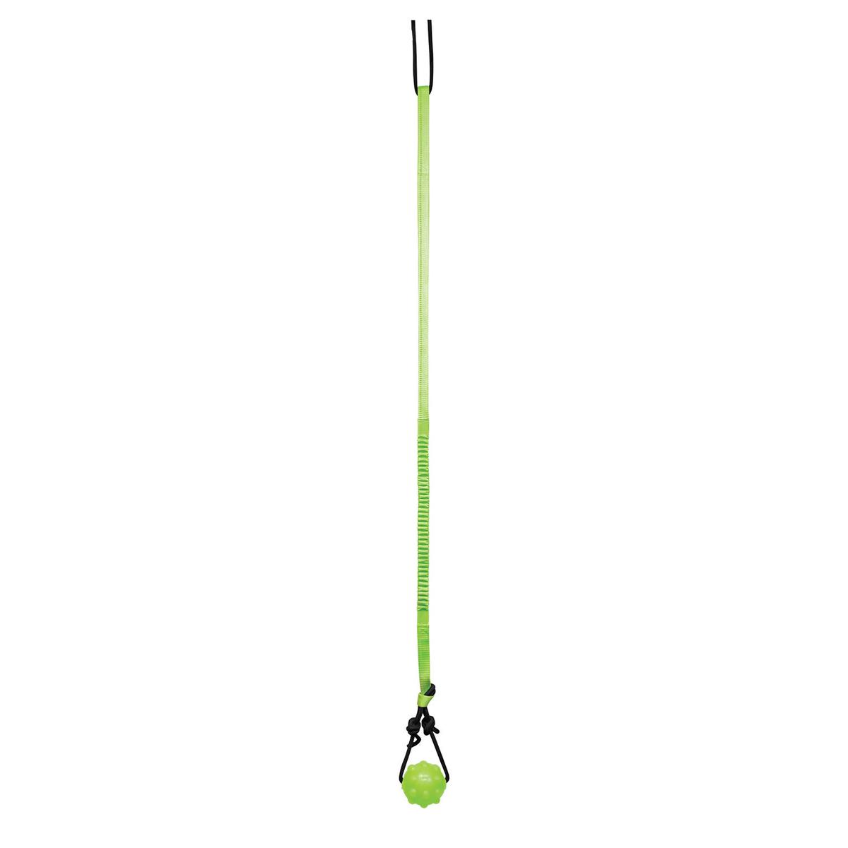 Jolly Pets Tree Tugger