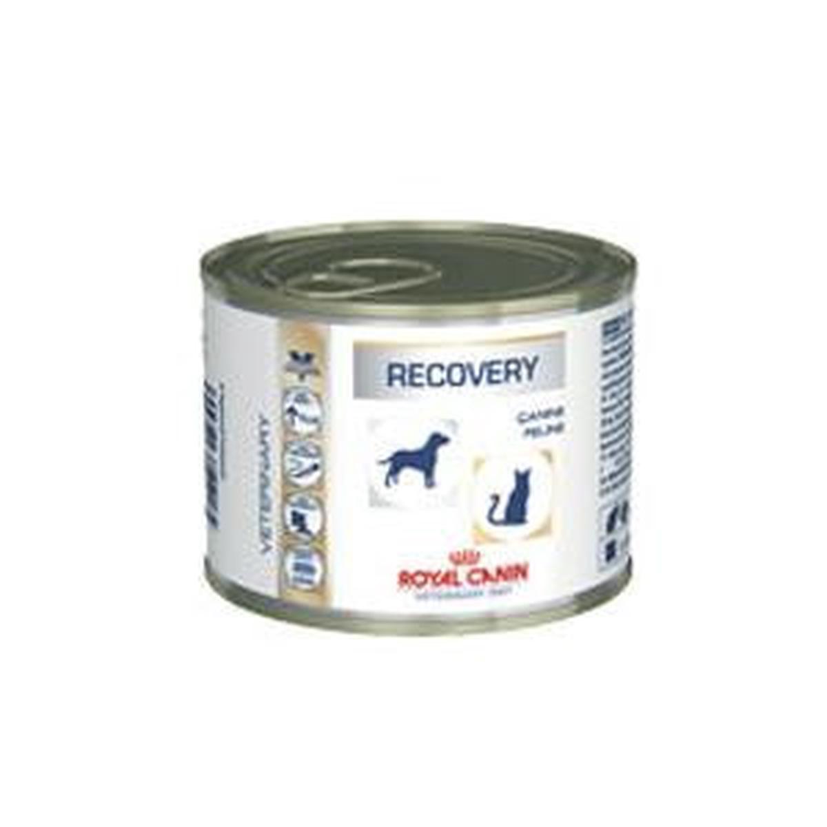 Royal Canin Recovery Cats/Dogs – 12 x 195g (Wet)