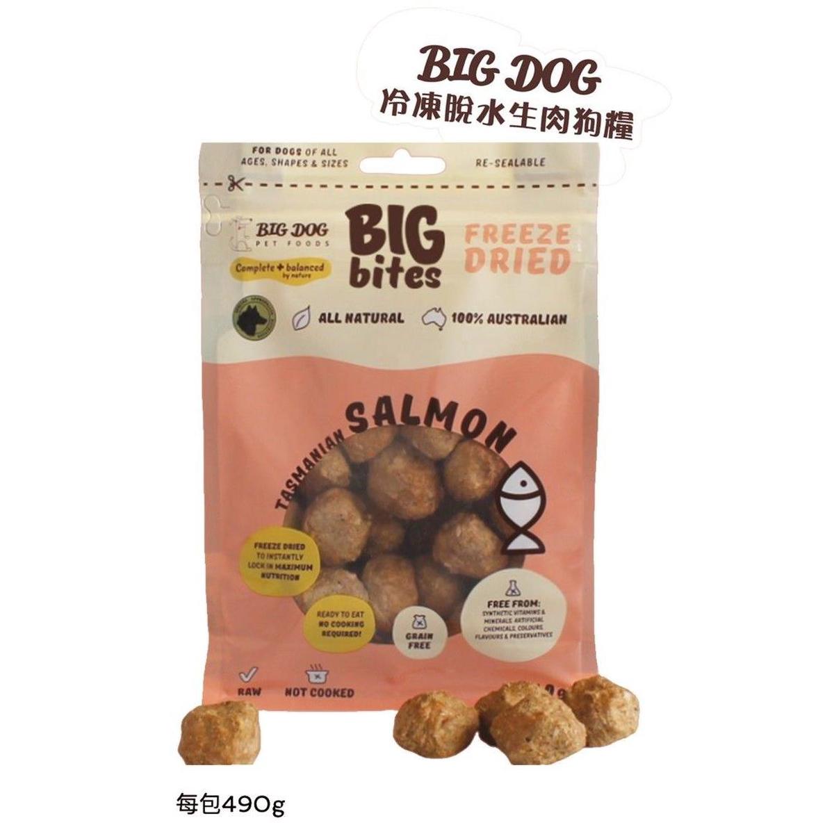 Big Dog Freeze-Dried Raw Meat Food – Salmon Formula 490g