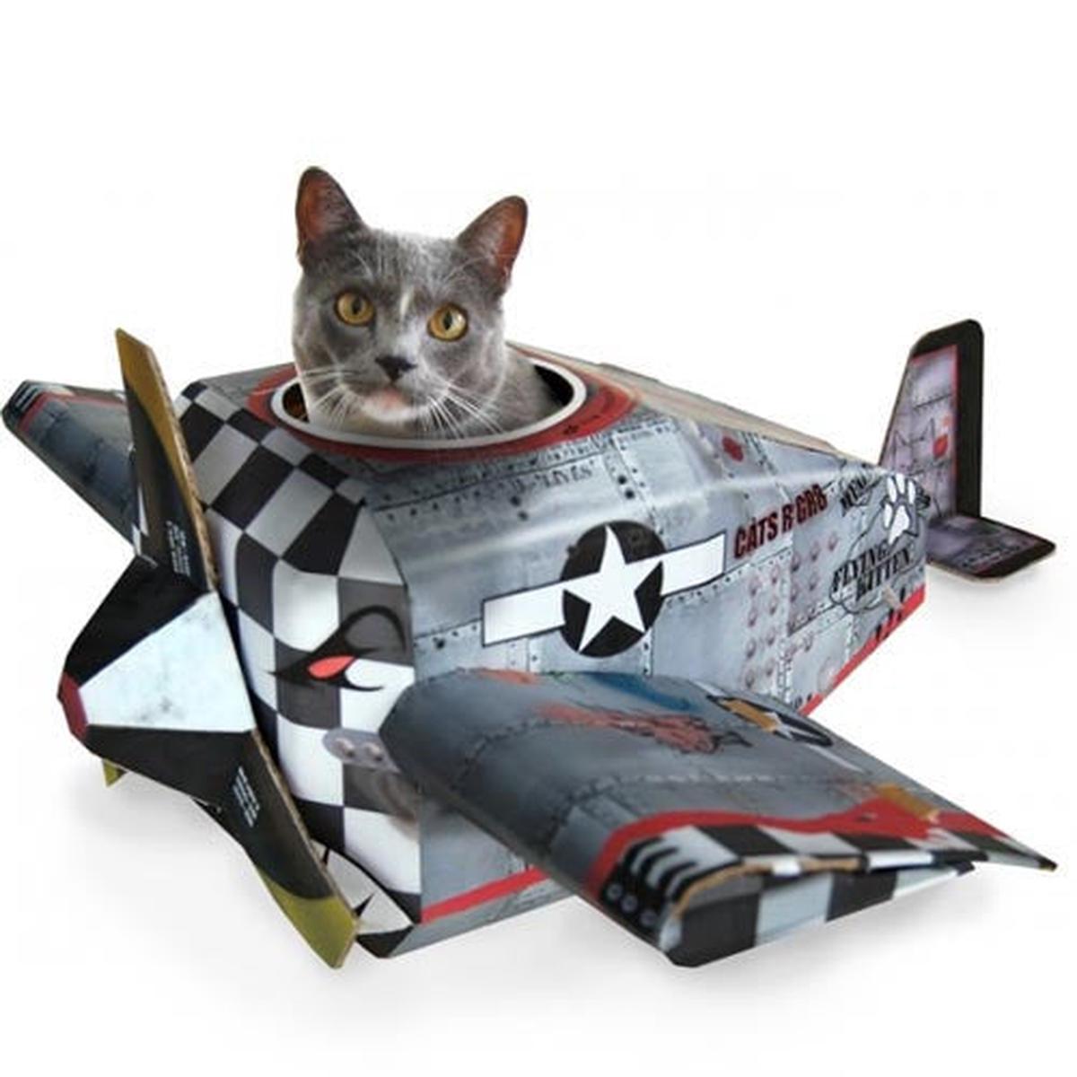 Cat Playhouse – Plane