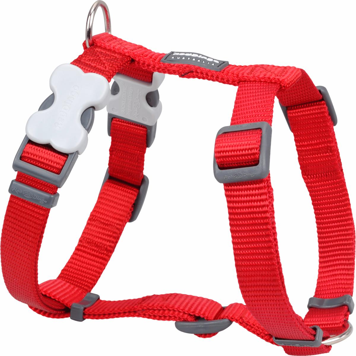 Red Dingo Classic H-Harness – Red | Small