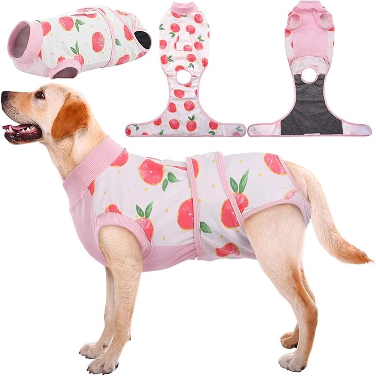 Dog Onesie for Surgery | Surgical Recovery Suit for Female & Male Dogs, Post-Op Wear