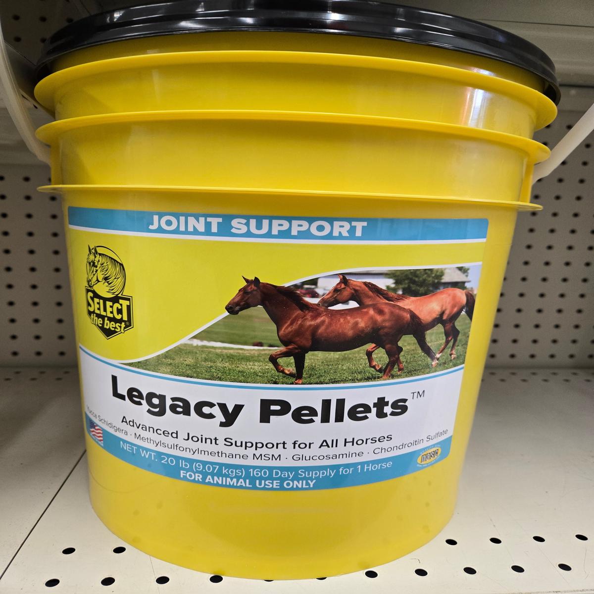Legacy Pellets Joint Support for Horses 20# Pail