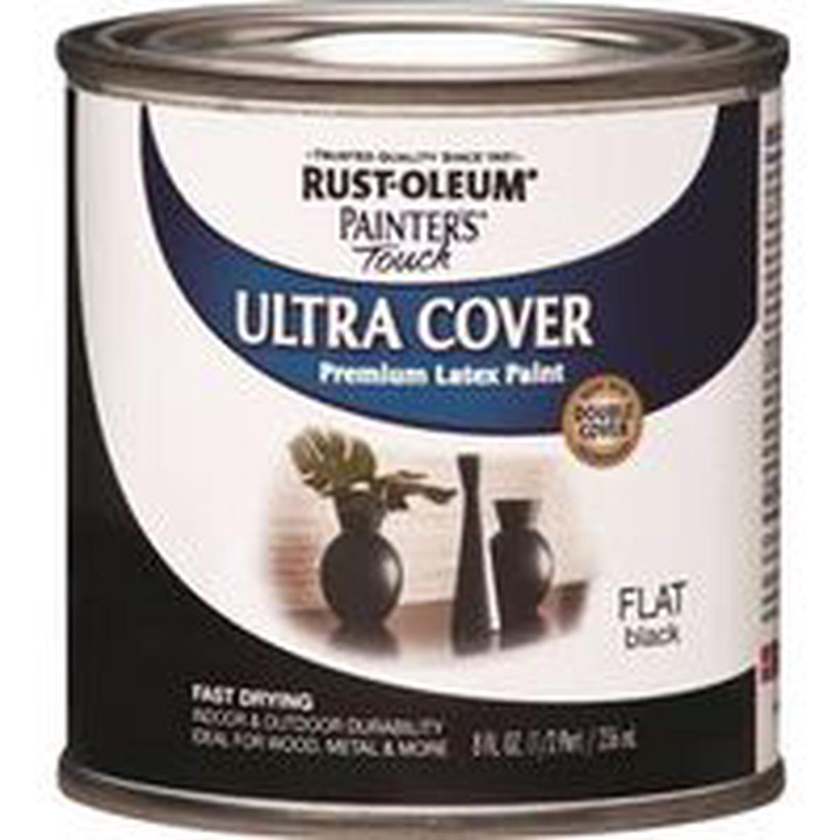 Rust-Oleum Enamel Paint, Water, Flat, Black, 0.5 pt, Can, 120 sq-ft Coverage Area