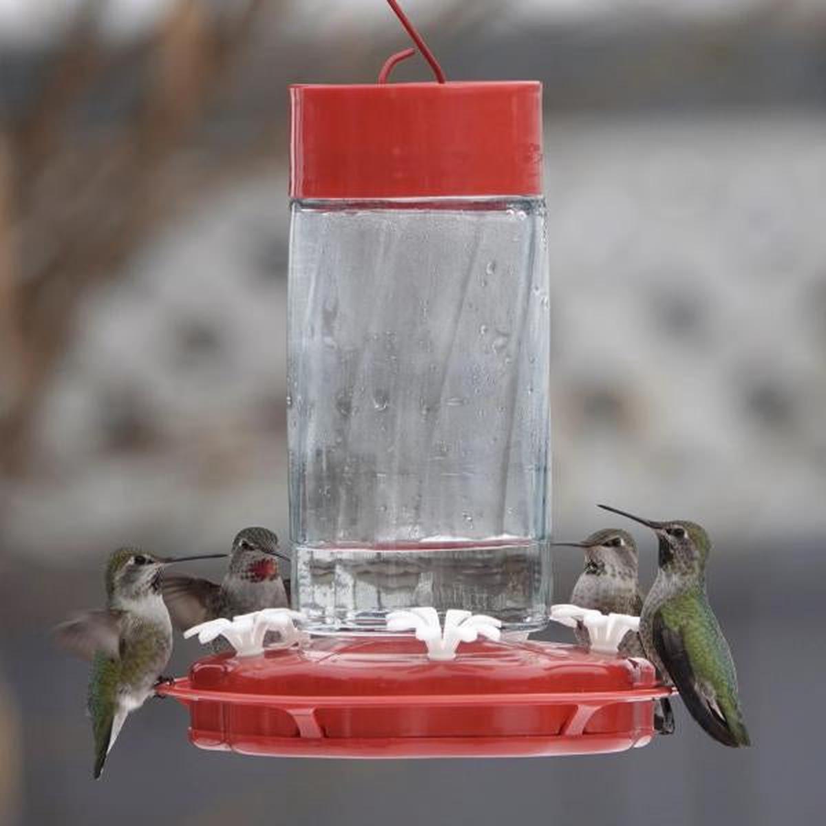 Scarlet Swirl Glass Hummingbird Feeder 20oz