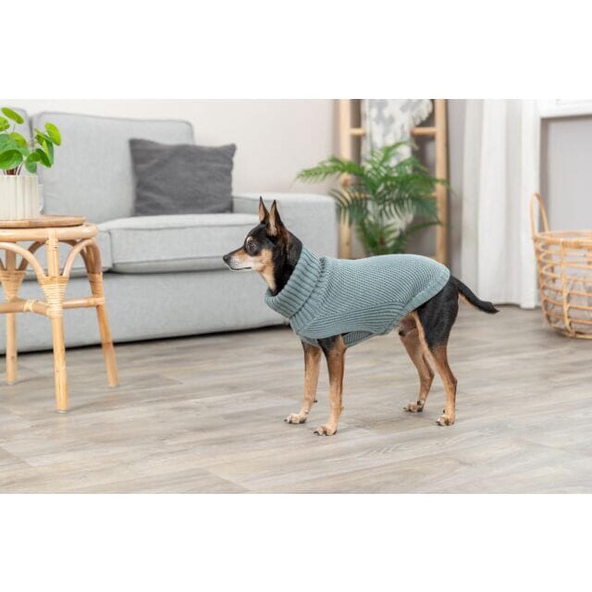 Trixie Berlin Pullover – Sage | 50cm