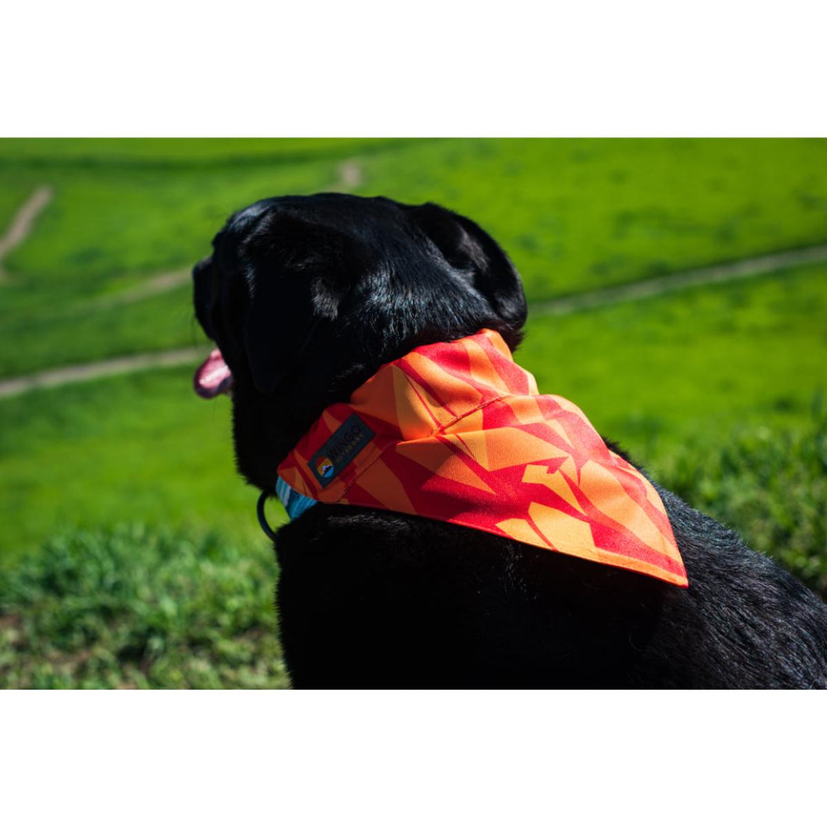 Wingo Outdoors Bernie Dog Bandana