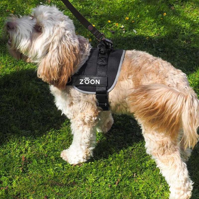 Advanced Slip-On Dog Harness Jet L