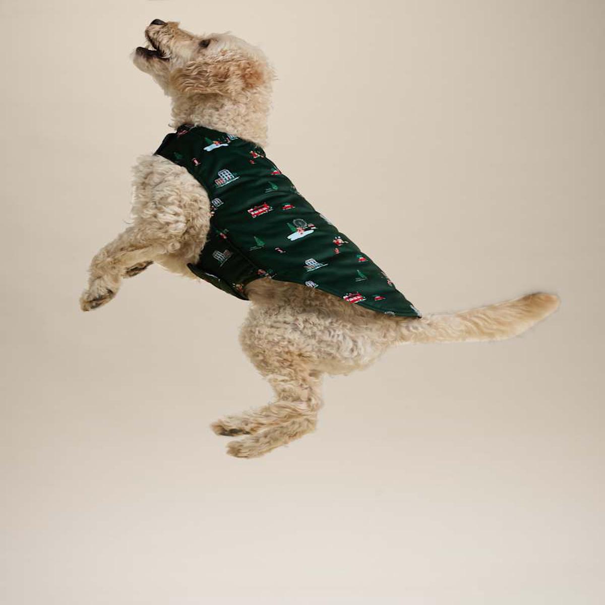 Spencer Bear Dog Jumper