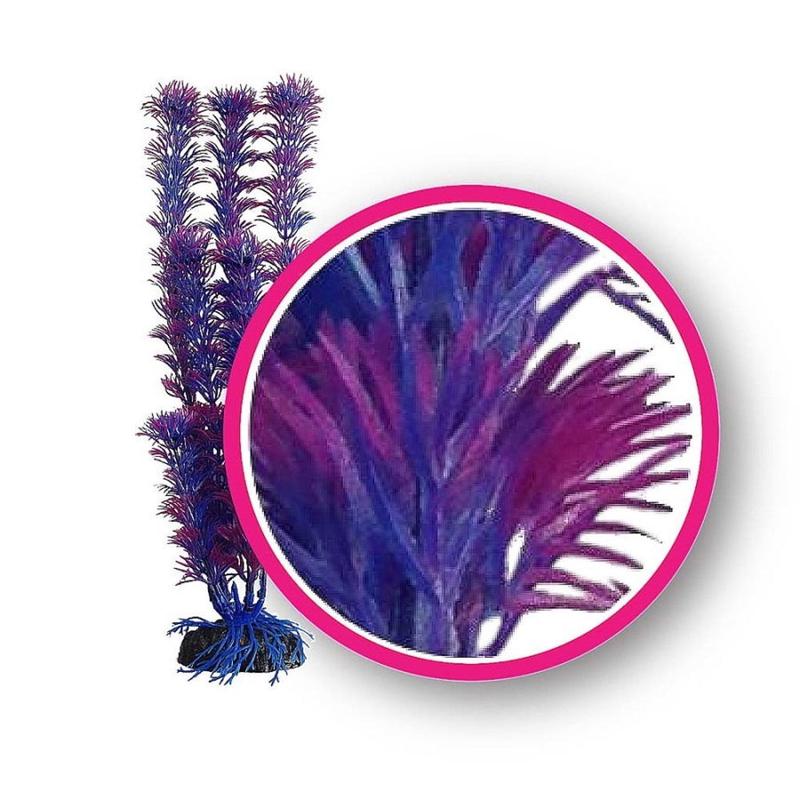 Weco Dream Series Fuschia Fern Plant - 6"