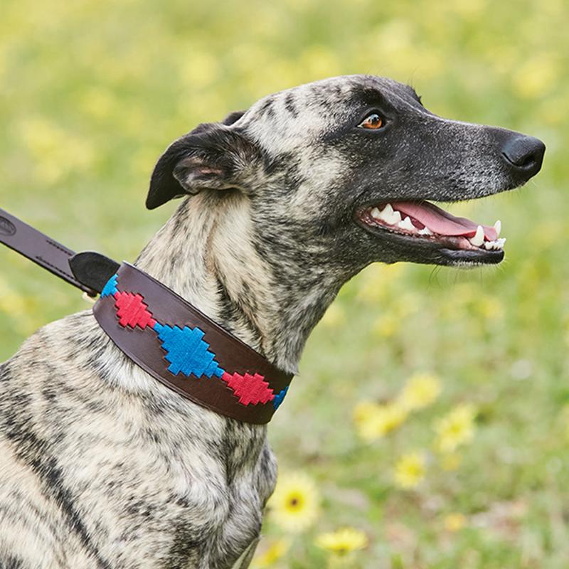 Weatherbeeta Lurcher Polo Leather Dog Collar