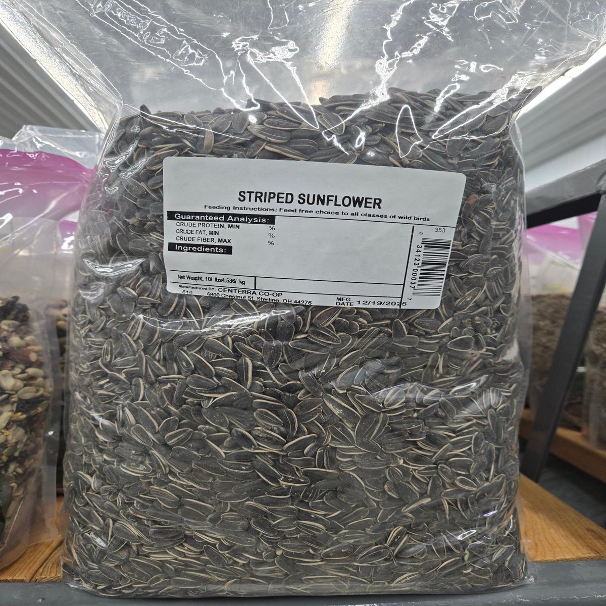 10LB Striped Sunflower