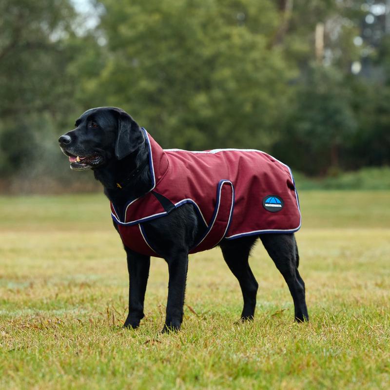 Weatherbeeta Comfitec Premier Deluxe Waterproof Dog Coat
