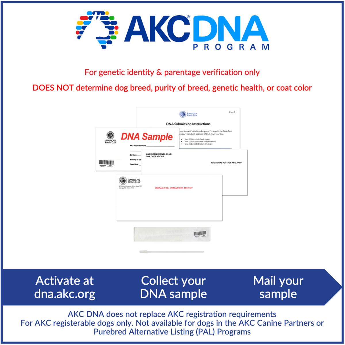 AKC DNA Kit