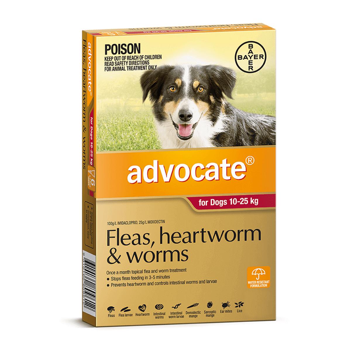 ADVOCATE LARGE DOG 10-25KG 6PK