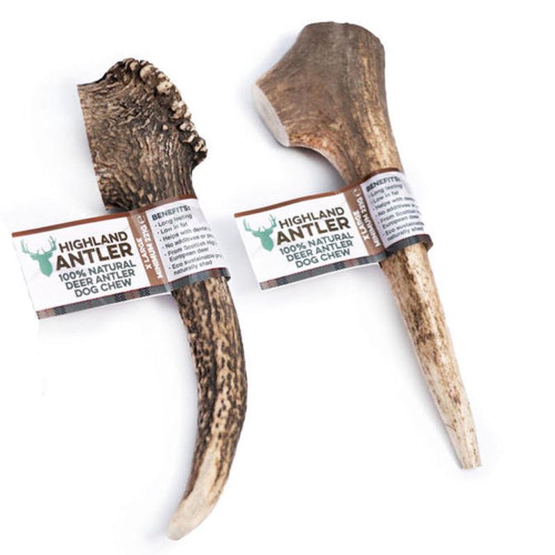 Antler Original Extra Large