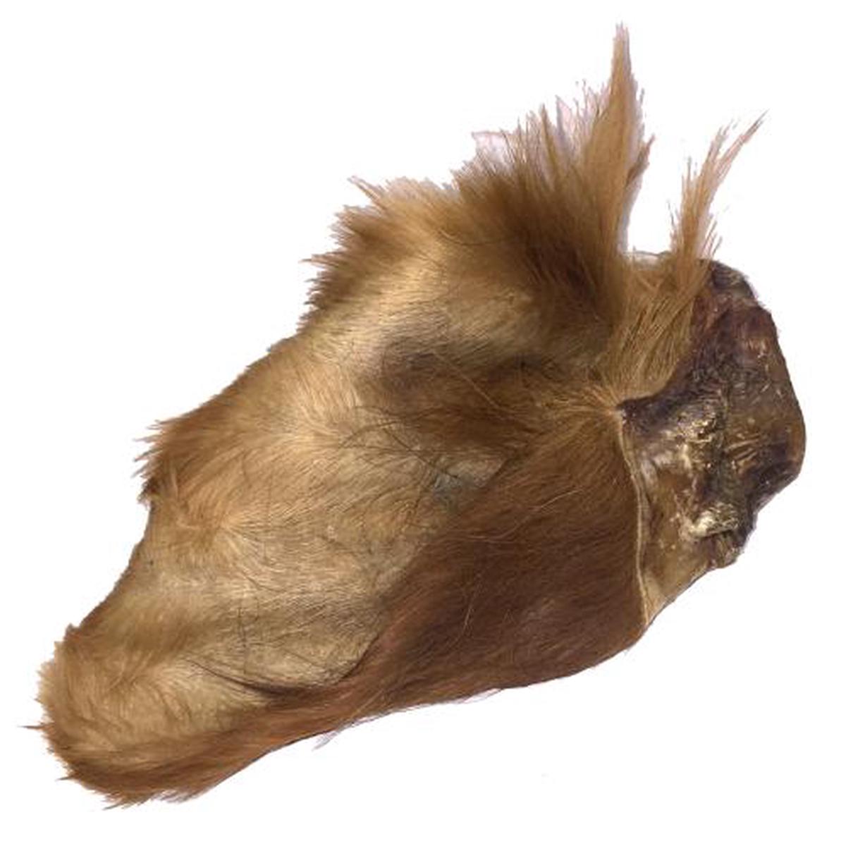 Anco Naturals Hairy Cow Ear  Natural Dog De-Wormer & Chewy Treat