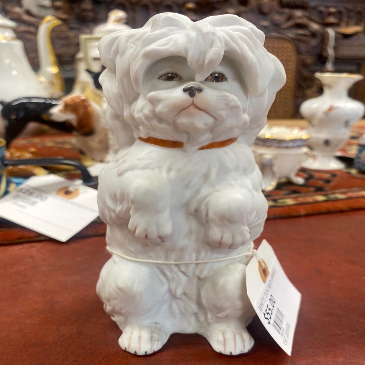 WHITE DOG WITH BANGS