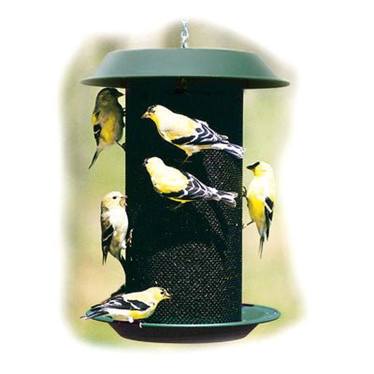 WoodLink Magnum Sunflower Feeder SALE