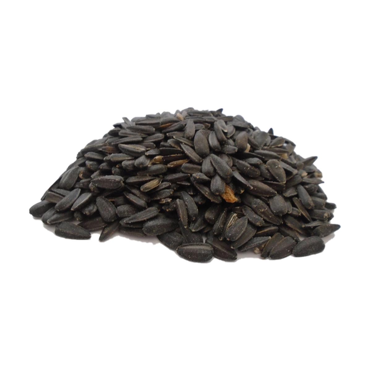 1lb Bag Black Sunflower