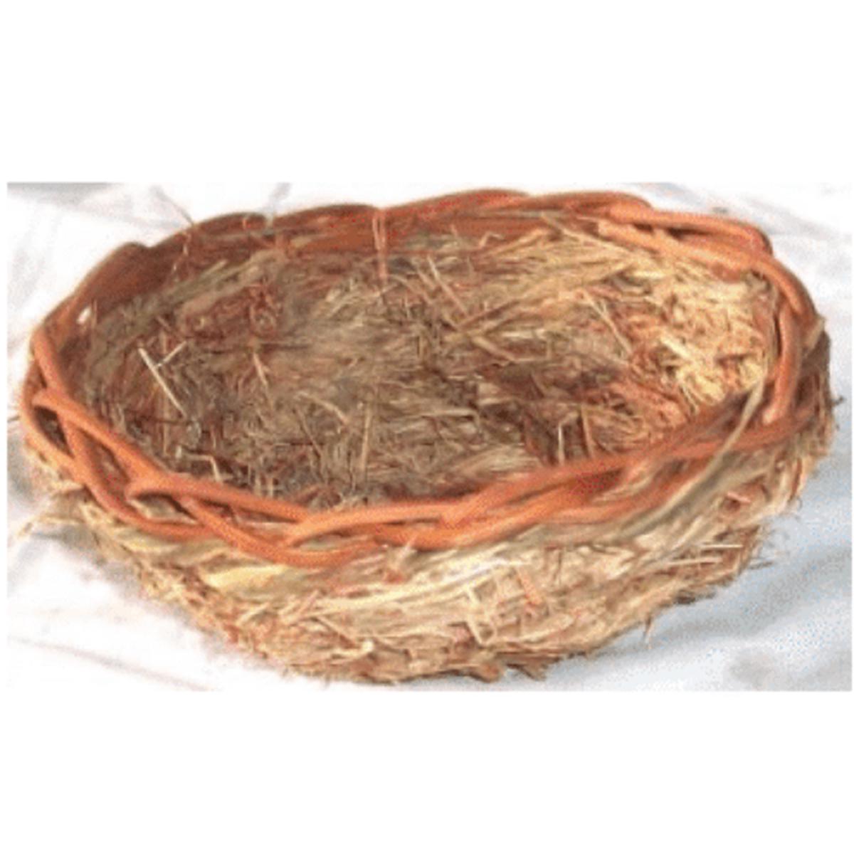 Canary Nest Coconut 11x5cm