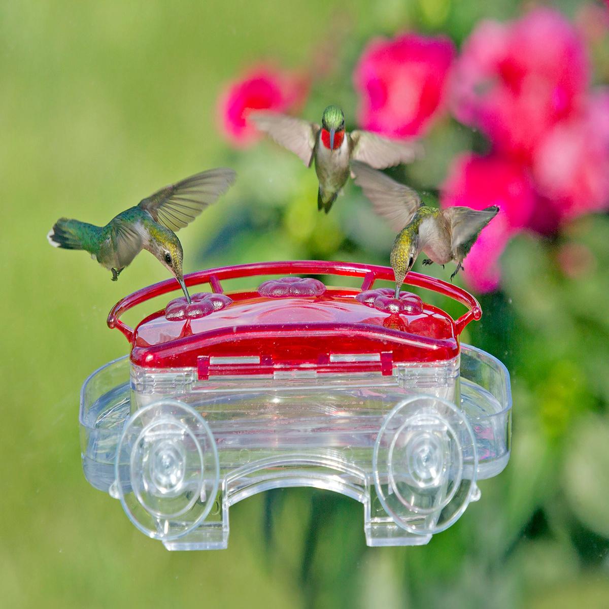 Jewel Box  Window Hummingbird Feeder