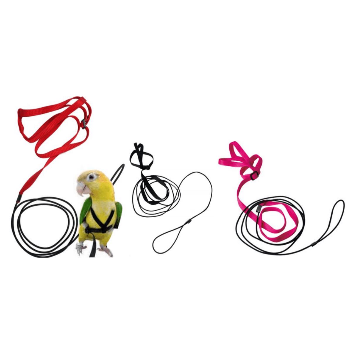 Bird Harness XS L:202cm / H:6.5cm