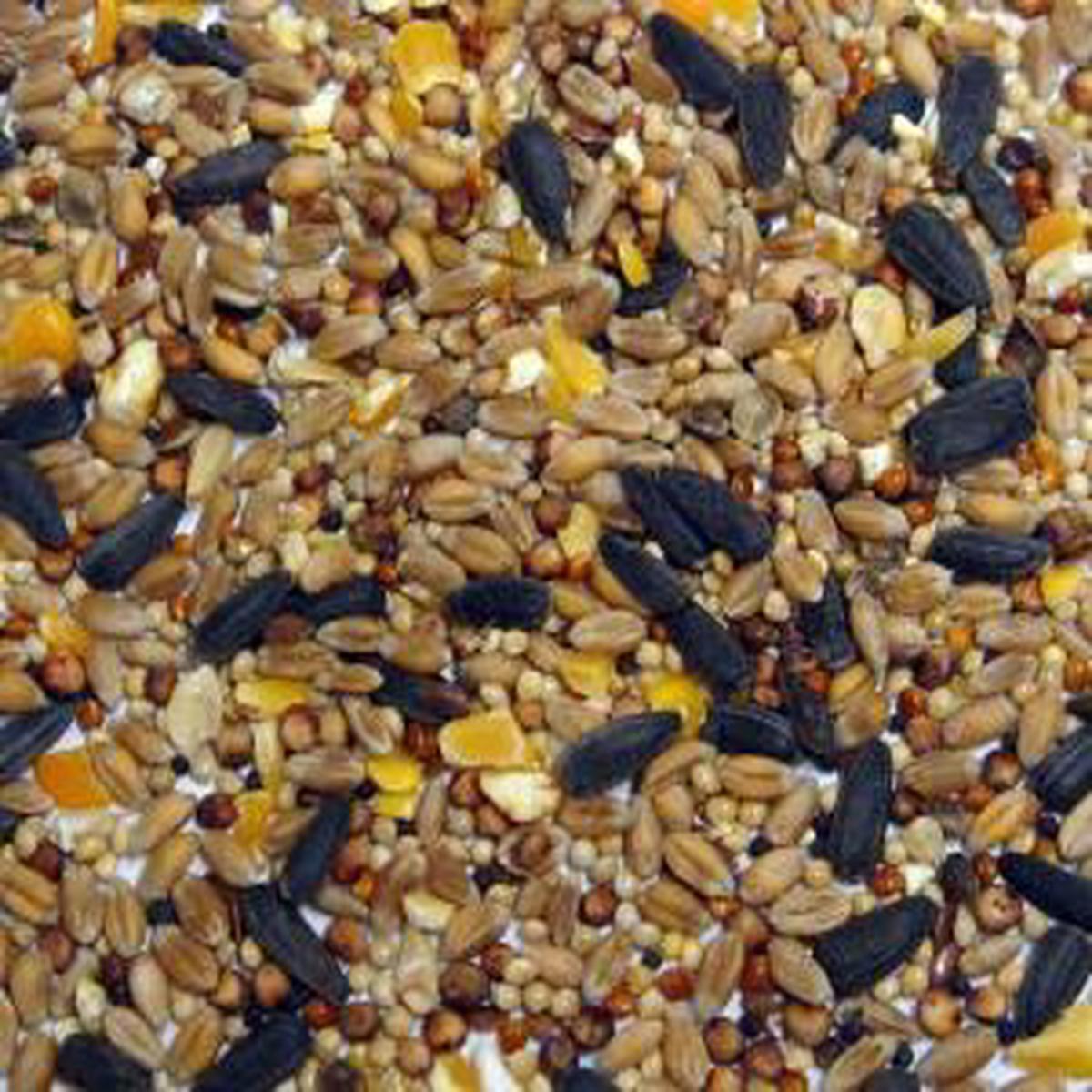 Wild Bird Food 2kg