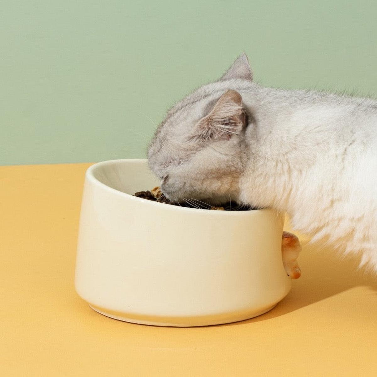 Ceramic Bowl With Caven Cat