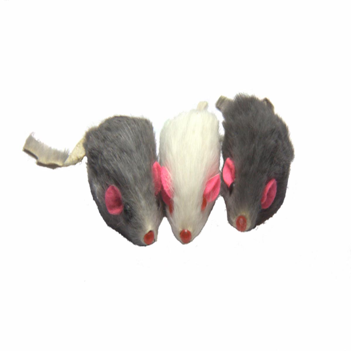 Dr. Pussums Mischief of Marinated Mice