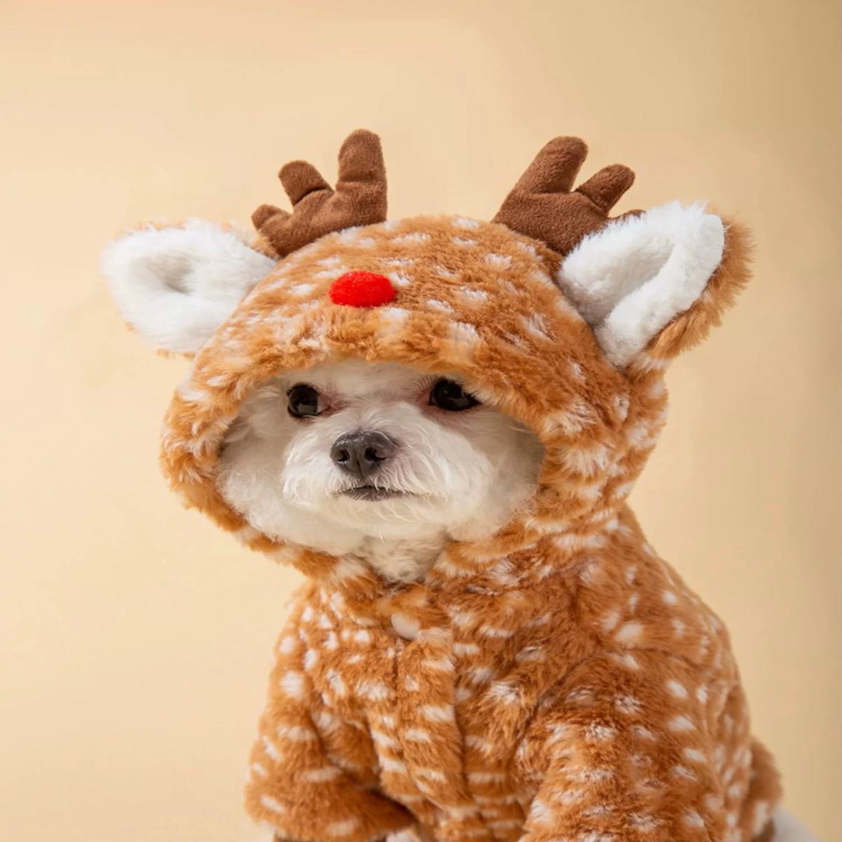 Moose Jacket