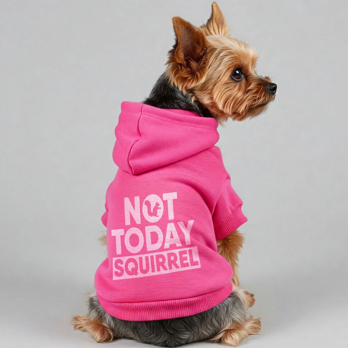 Not Today, Squirrel  Dog Hoodie  Dog Clothes