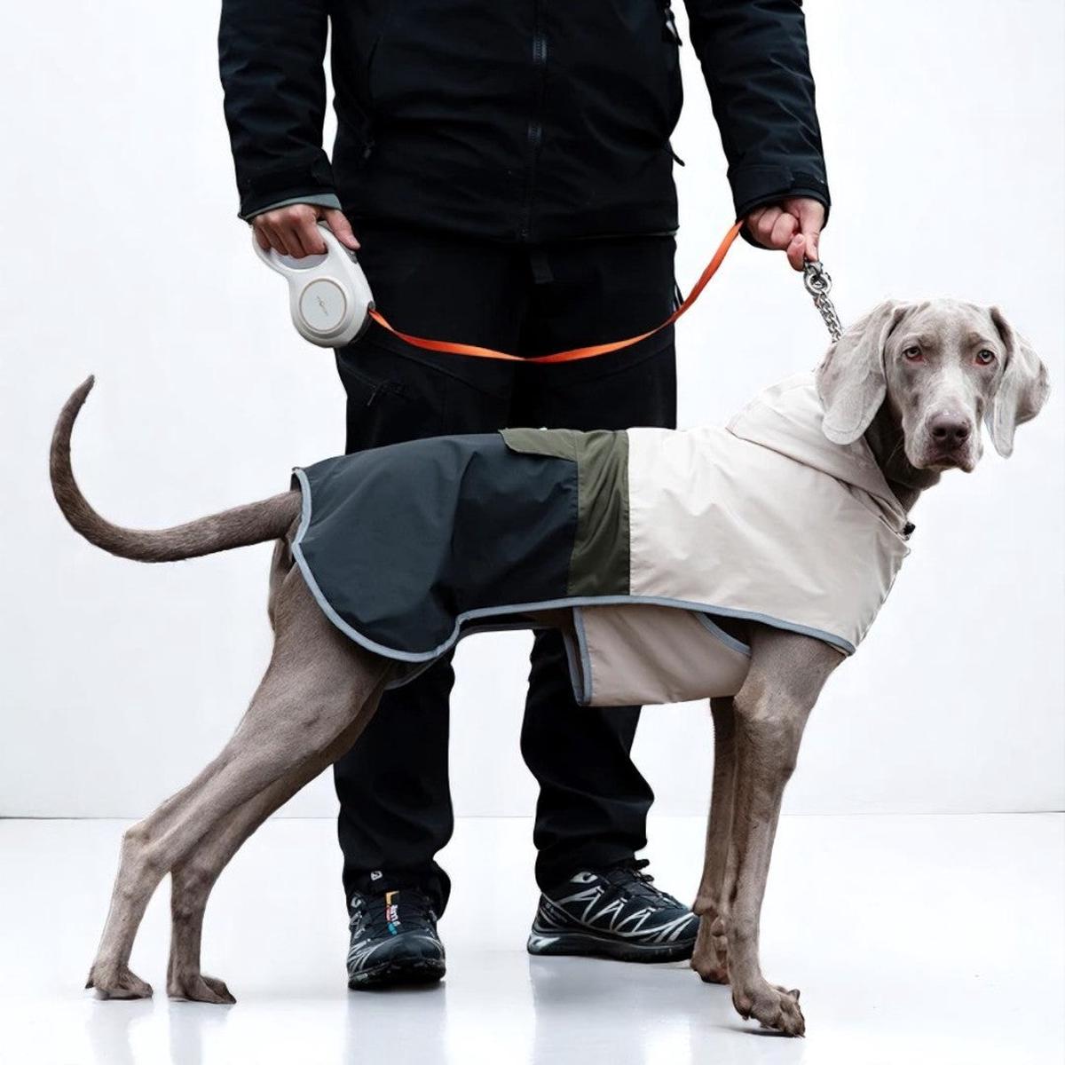 BarkBloc Waterproof Colorblock Dog Jacket
