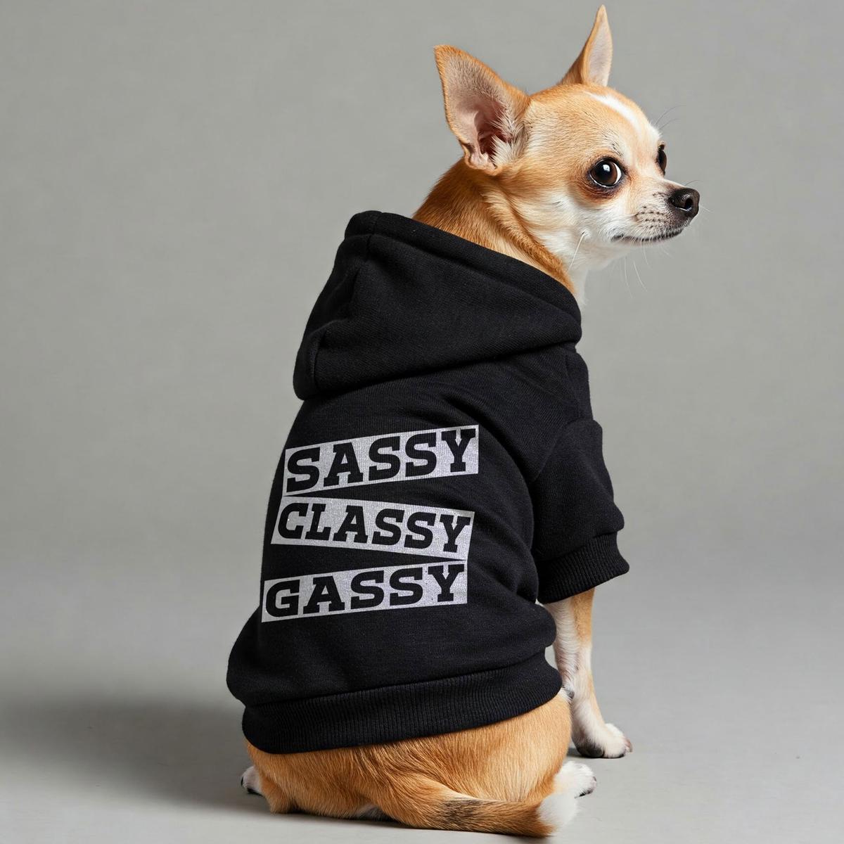 Sassy, Classy, Gassy  Dog Hoodie  Dog Clothes