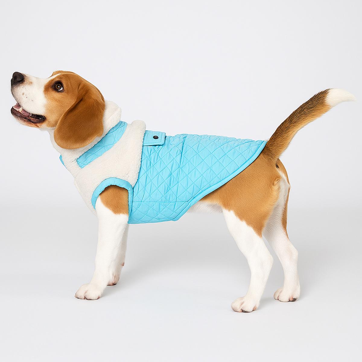 Quilted Winter Dog Coat