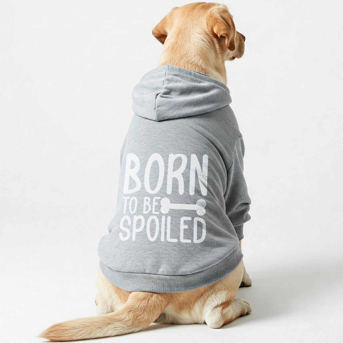 Born to Be Spoiled  Dog Hoodie  Dog Clothes