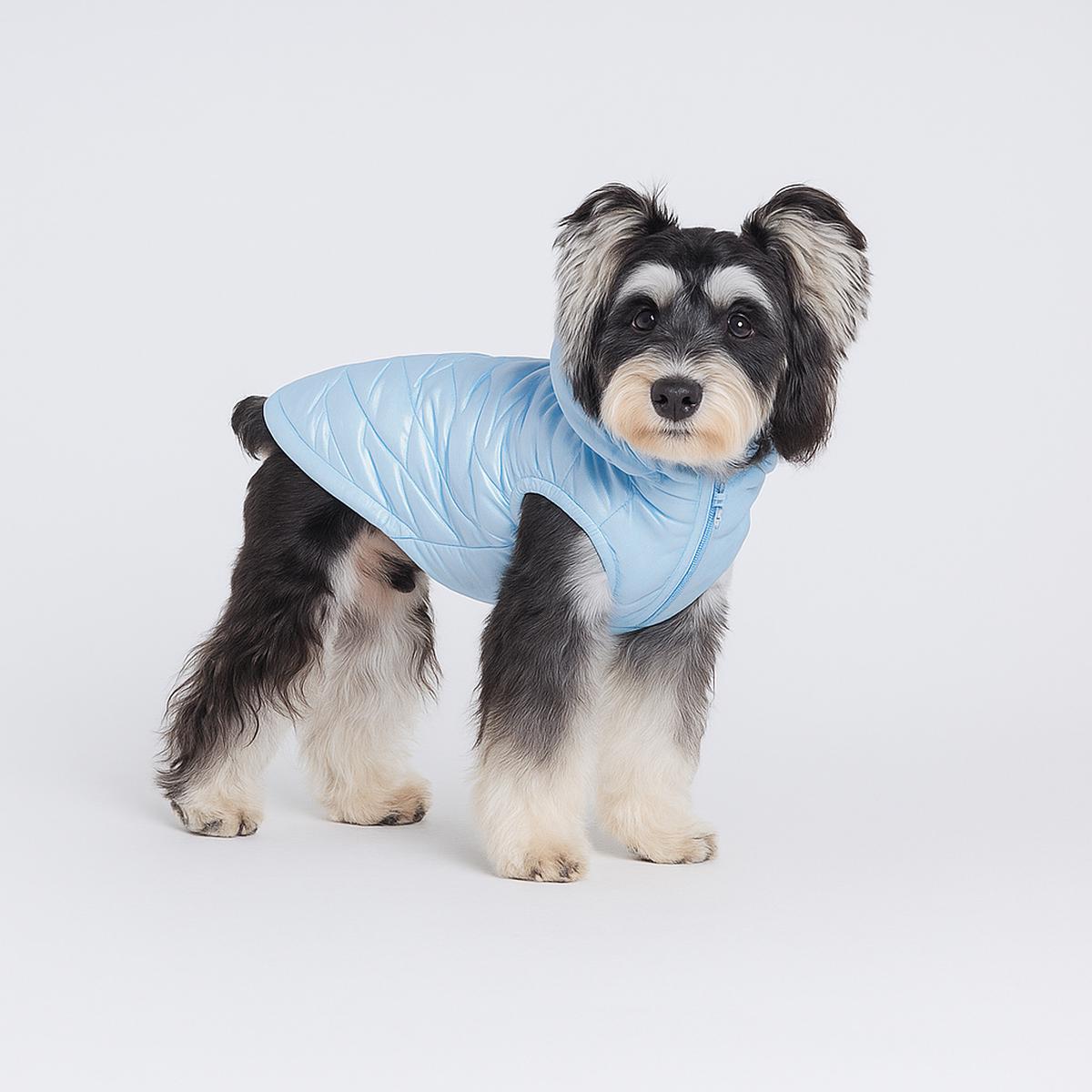 Reflective Dog Winter Vest