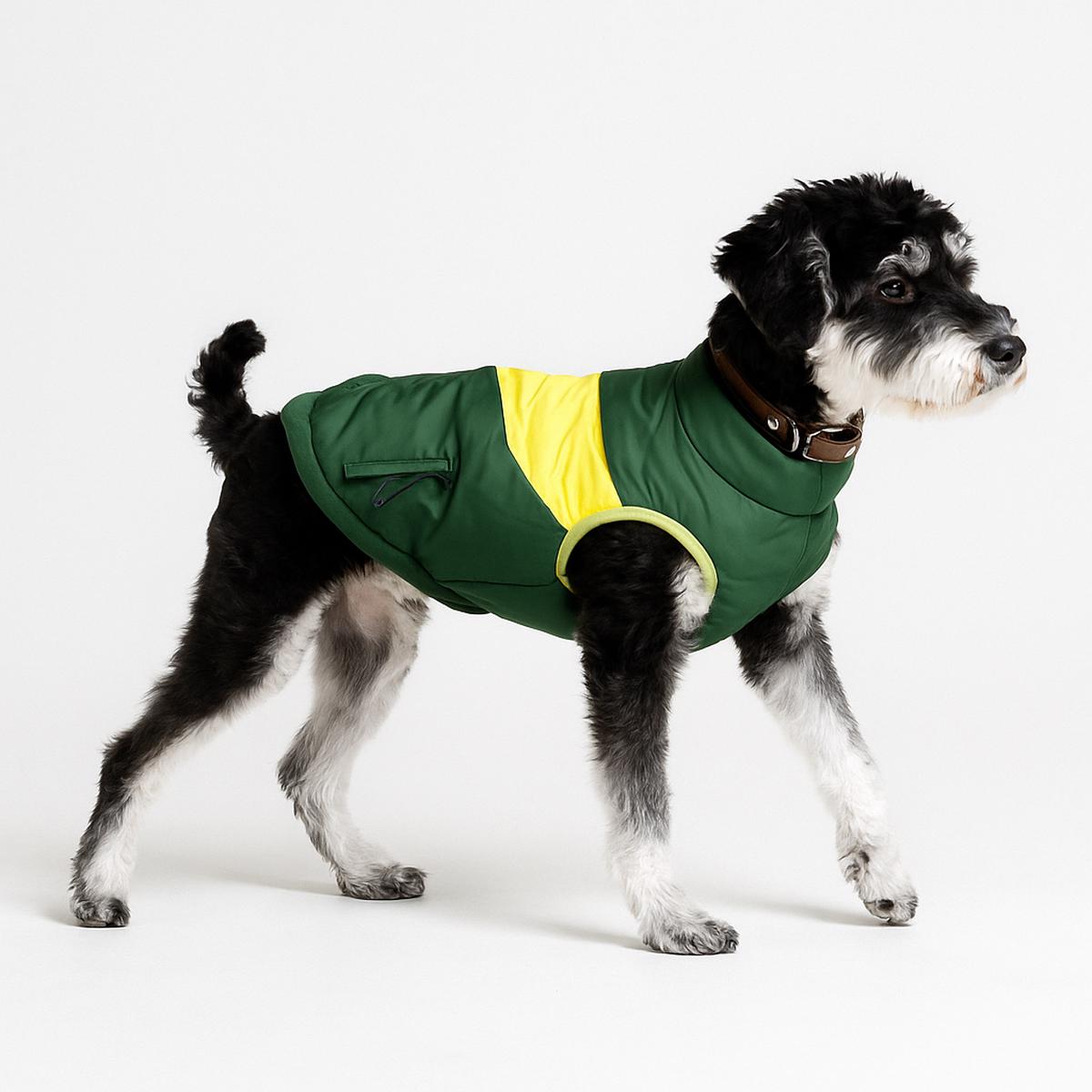 Comfortable Padded Dog Coat for Cold Weather