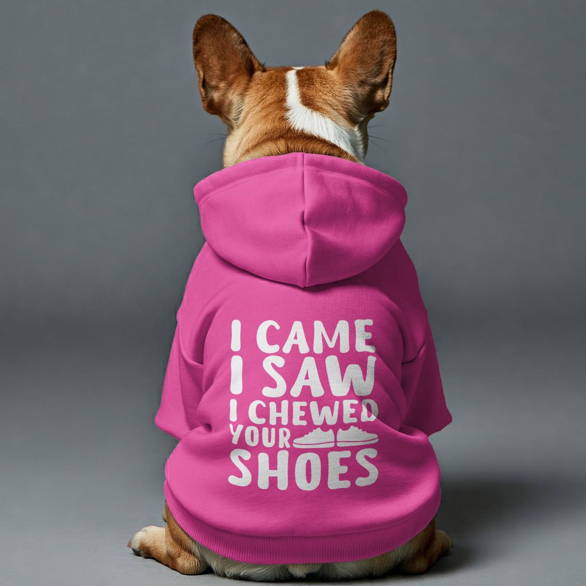 I Came, I Saw, I Chewed Your Shoes  Dog Hoodie  Dog Clothes