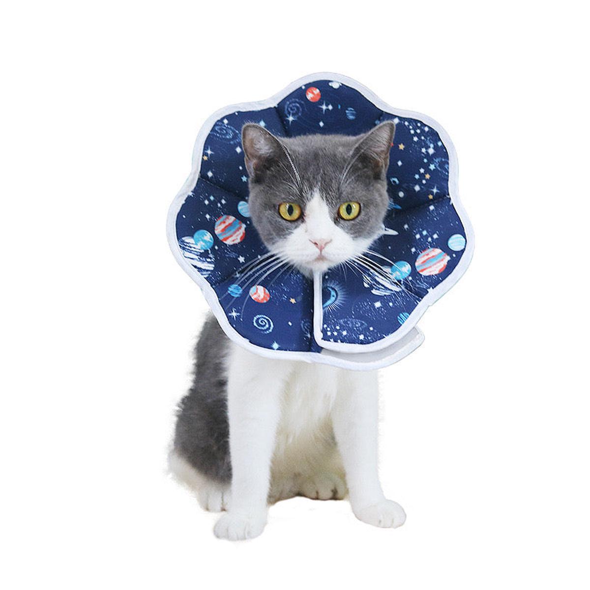 Space Recovery Collar