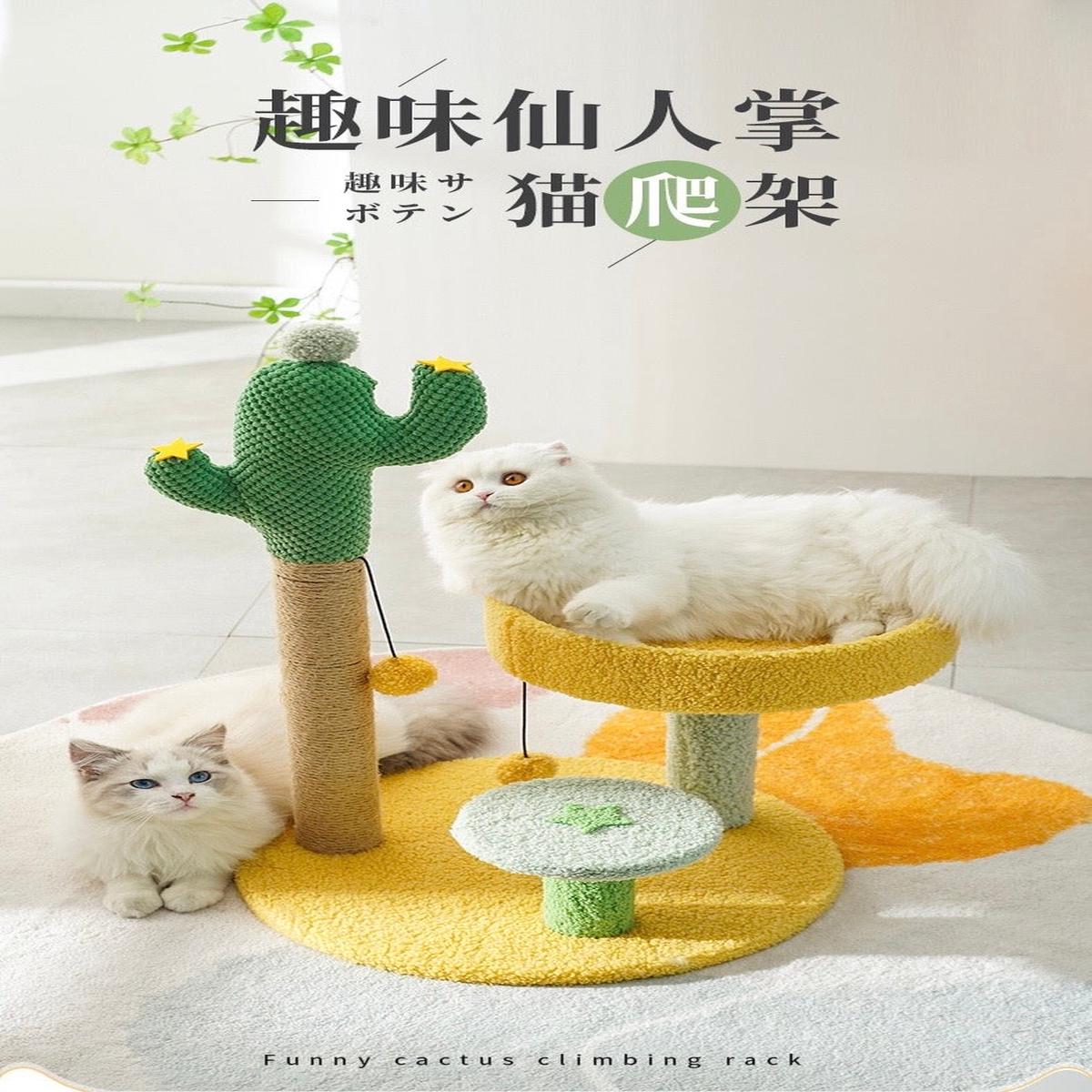 Funny Cactus Climbing Rack