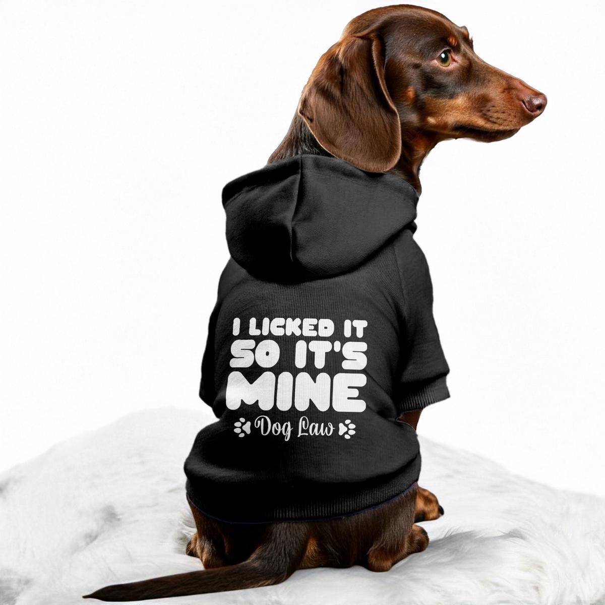 I licked it, so its minedog law  Dog Hoodie  Dog Clothes