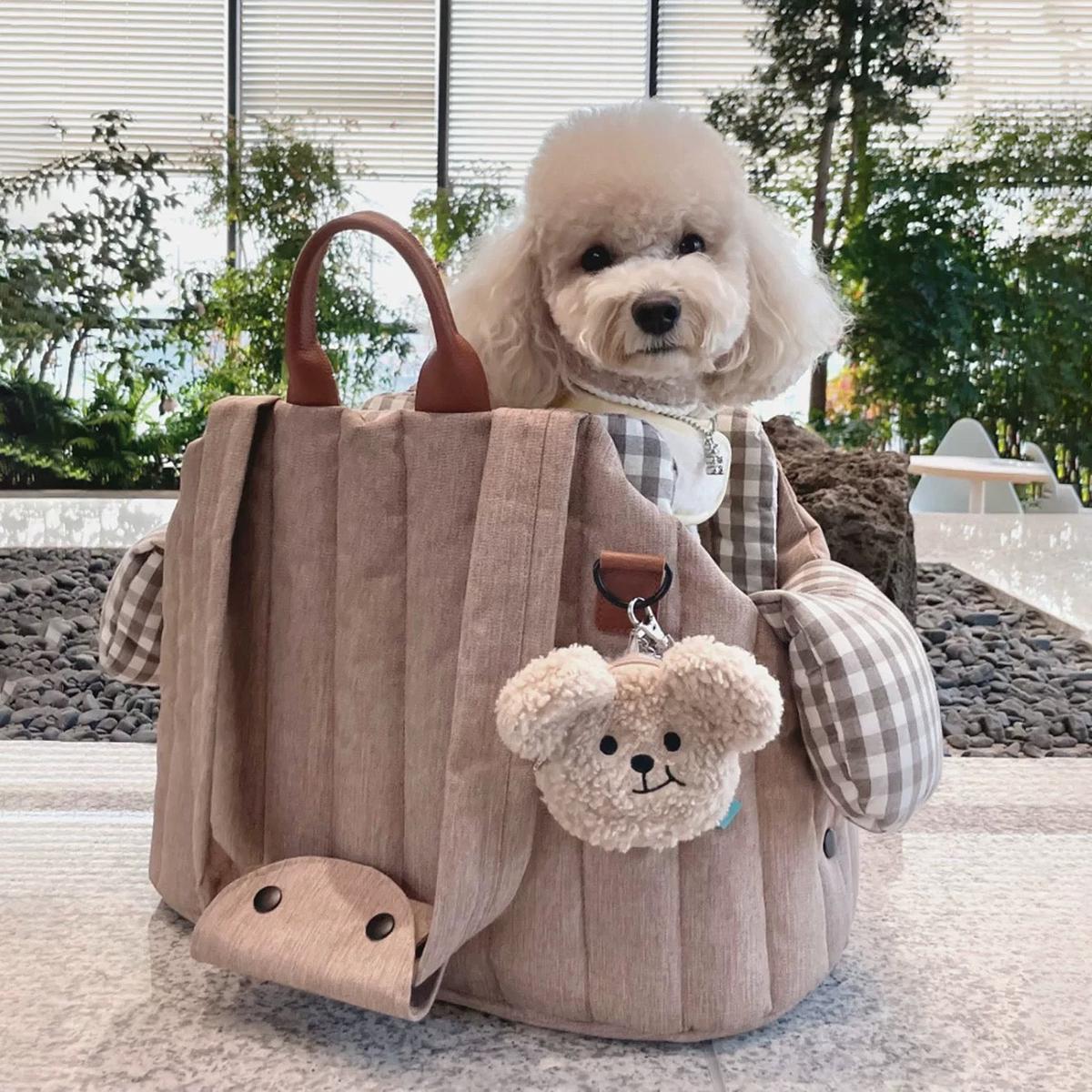 Portable Pet Carrier Bag