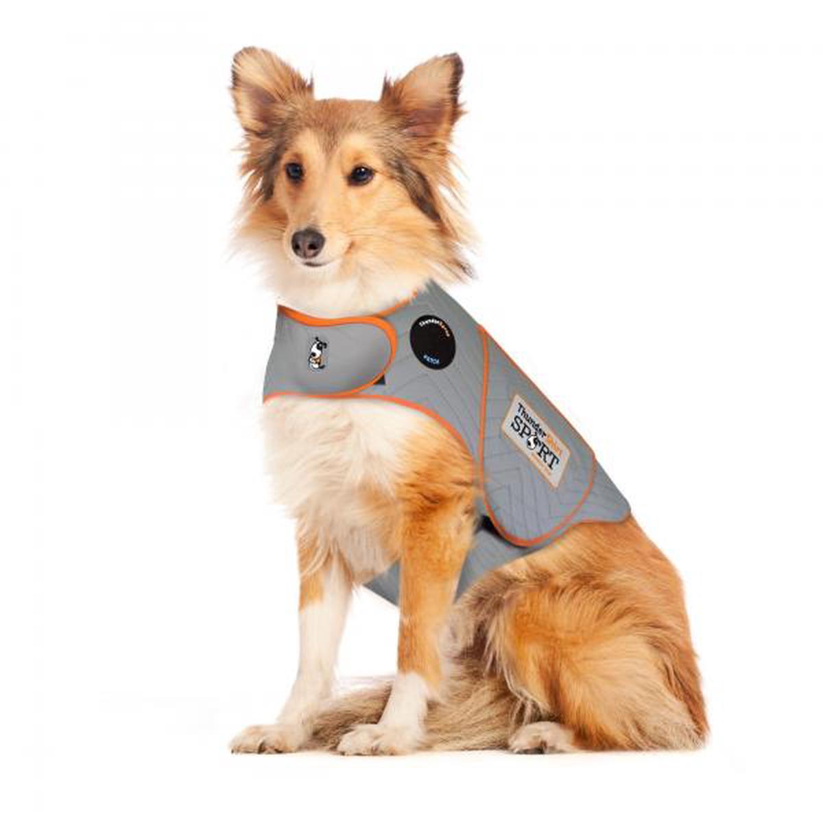 Thundershirt D Platinum Sport L