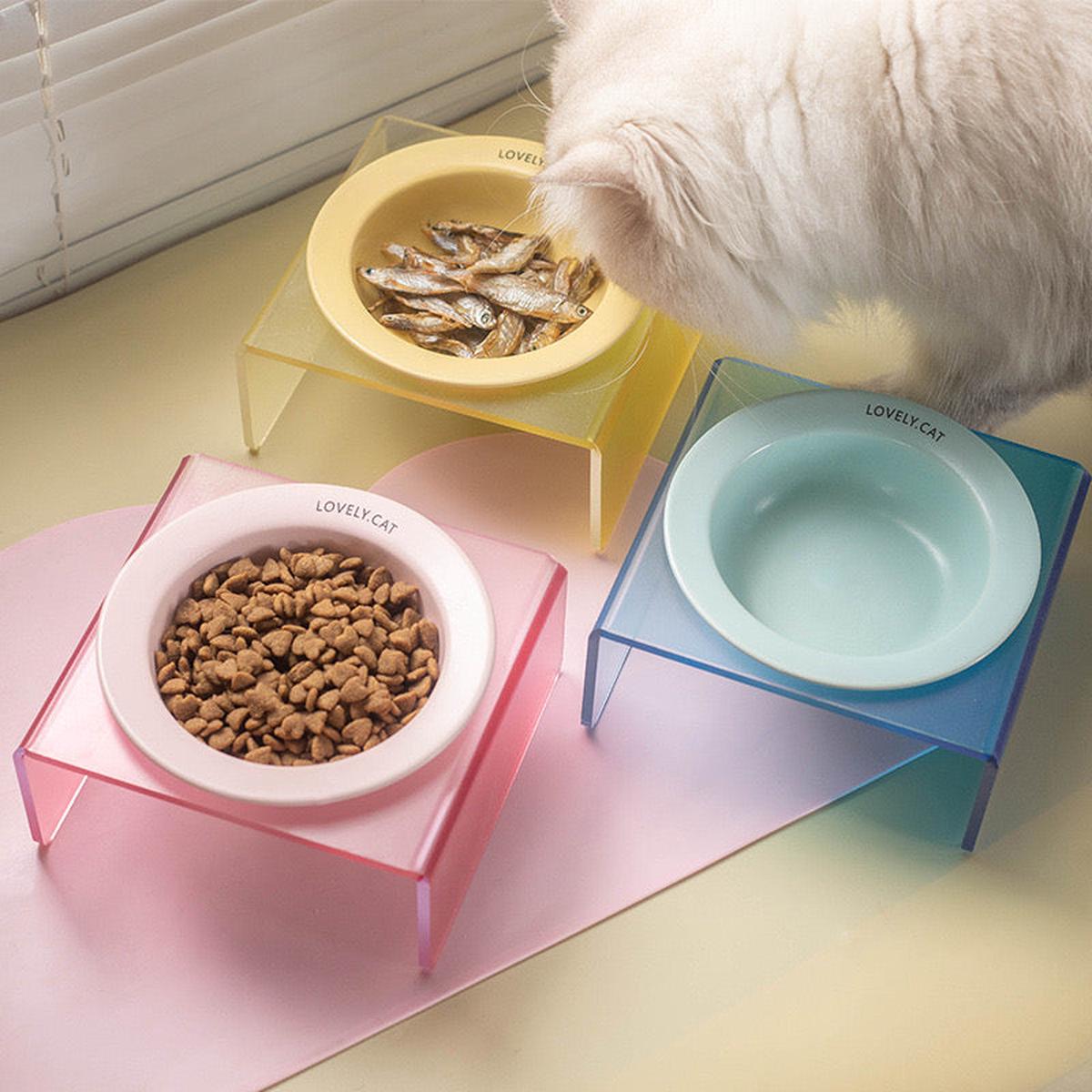 Creamy Pet Bowl