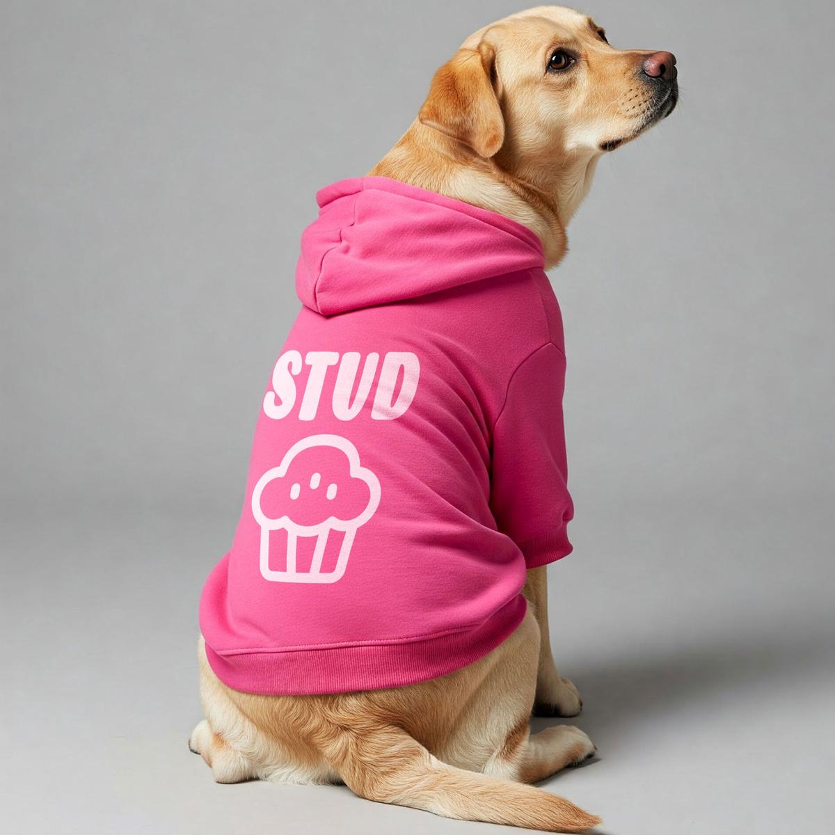 stud muffin  Dog Hoodie  Dog Clothes