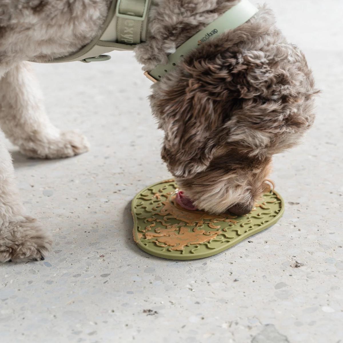 Dexypaws Avocado Enrichment Lick Mat