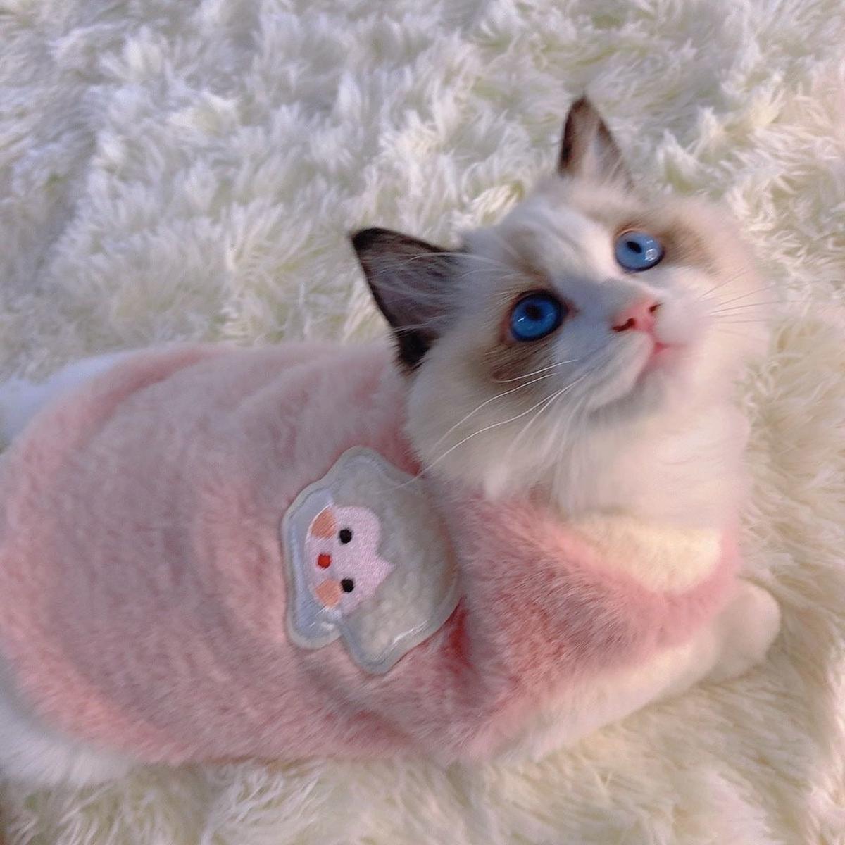 Snow Baby Rabbit Fur Sweater